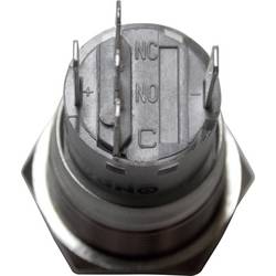 TRU COMPONENTS LAS1-AGQ-11E, BL, 701310 tlačítko antivandal, 19 mm, 250 V/AC, 5 A, 1 ks