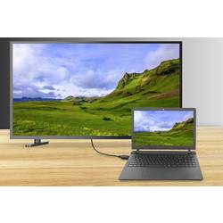Renkforce DisplayPort / DVI kabelový adaptér Konektor DisplayPort, DVI-D 24+1pol. Zástrčka 1.80 m černá RF-5771518 PVC plášť DVI kabel