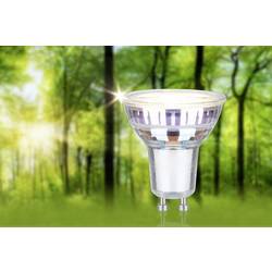 Paulmann 29193 LED Energetická třída (EEK2021) A (A - G) GU10 žárovka 2.5 W teplá bílá (Ø x v) 50 mm x 54 mm 3 ks