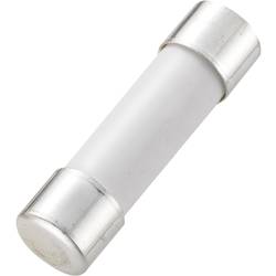 TRU COMPONENTS 1234611 110102700109X pojistka multimetru (Ø x d) 6.35 mm x 25.4 mm 1 A 250 V F rychlá Množství 1 ks