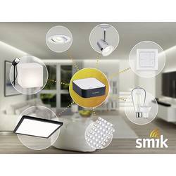 50135 Smik Gateway Paulmann Home Gateway bílá, antracitová