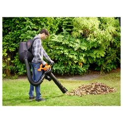 Black & Decker BEBLV290-QS elektrika vysavač listí 230 V