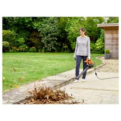 Black & Decker BEBLV290-QS elektrika vysavač listí 230 V