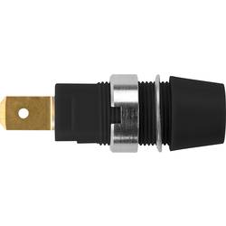 Schützinger bezpečnostní montážní zásuvka 4 mm zásuvka černá 1 ks Piece