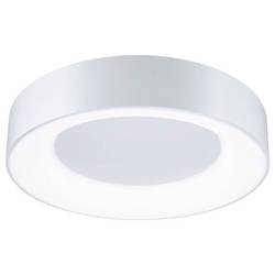 Paulmann 75414 stropní svítidlo LED 20 W bílá (matná)