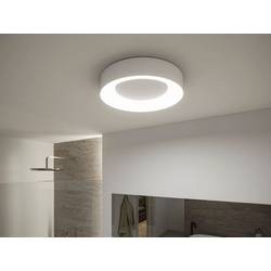 Paulmann 75414 stropní svítidlo LED 20 W bílá (matná)