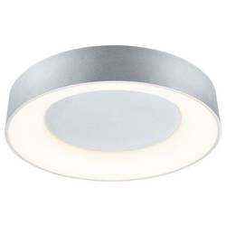 Paulmann 75415 stropní svítidlo LED 20 W hliník (matný)