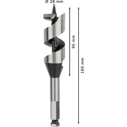 Bosch Accessories 2608585710 hadovitý vrták 28 mm Celková délka 160 mm šestihran 1 ks