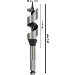 Bosch Accessories 2608585708 hadovitý vrták 25 mm Celková délka 160 mm šestihran 1 ks