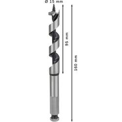 Bosch Accessories 2608585702 hadovitý vrták 15 mm Celková délka 160 mm šestihran 1 ks