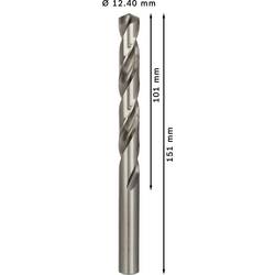 Bosch Accessories 2608585541 HSS kovový spirálový vrták 12.4 mm Celková délka 151 mm broušený DIN 338 válcová stopka 5 ks