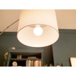 Philips LED 9290023068 LED Energetická třída (EEK2021) E (A - G) E27 klasická žárovka 13 W = 100 W teplá bílá (Ø x v) 60 mm x 120 mm 6 ks