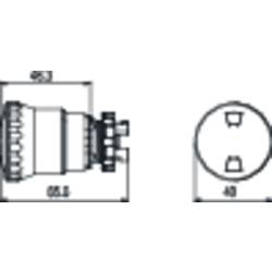 Pizzato Elettrica E21PEPF4531, E21PEPF4531 nouzový vypínač, 1 ks