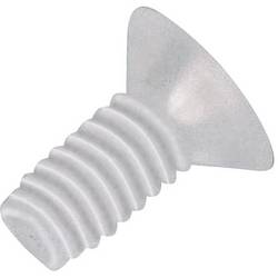 TOOLCRAFT 839986 šroub se zápustnou čočkovou hlavou M2.5 20 mm křížová drážka Philips DIN 966 plast, polyamid 10 ks