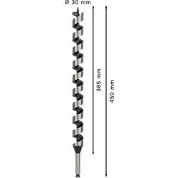 Bosch Accessories 2608597651 hadovitý vrták 30 mm Celková délka 450 mm šestihran 1 ks