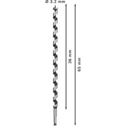 Bosch Accessories 2608597645 hadovitý vrták 18 mm Celková délka 450 mm šestihran 1 ks