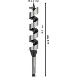Bosch Accessories 2608597638 hadovitý vrták 30 mm Celková délka 235 mm šestihran 1 ks