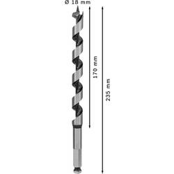 Bosch Accessories 2608597631 hadovitý vrták 18 mm Celková délka 235 mm šestihran 1 ks