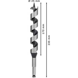 Bosch Accessories 2608597635 hadovitý vrták 25 mm Celková délka 235 mm šestihran 1 ks