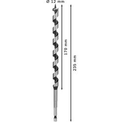 Bosch Accessories 2608597626 hadovitý vrták 12 mm Celková délka 235 mm šestihran 1 ks