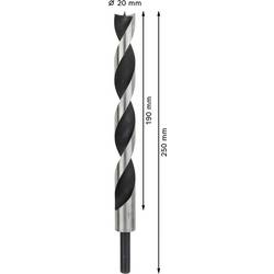 Bosch Accessories 2608597194 spirálový vrták do dřeva 20 mm Celková délka 250 mm válcová stopka 1 ks