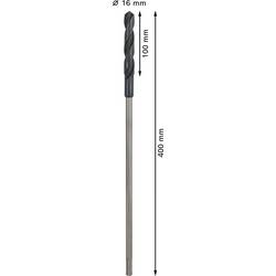 Bosch Accessories 2608597406 šalovací vrták 16 mm Celková délka 400 mm SDS plus 1 ks