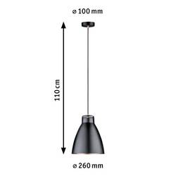 Paulmann Neordic Rolad 79609 závěsné světlo LED E27 20 W měď matná , černá (matná)