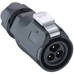 Lutronic 2450 02 T09 CB T kulatý konektor DIN, 1 ks