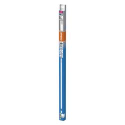 OSRAM HOMELIGHTING LED trubice Energetická třída (EEK2021): E (A - G) G13 zářivkový tvar T8 KVG 6.6 W = 18 W studená bílá (Ø x d) 26.80 mm x 604 mm 1 ks