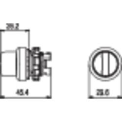 Otočný přepínač Pizzato Elettrica E21SL13ACH29AB, 2x 45 °, bílá
