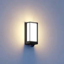 Steinel L 42 SC ANT 085261 venkovní nástěnné LED osvětlení LED žádná 13 W antracitová