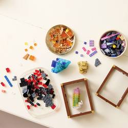 6530103 LEGO® IDEAS