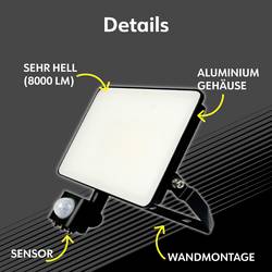 Müller-Licht Miami 21600065 venkovní LED reflektor 50 W Barvy světla (LED svítidlo): neutrální bílá