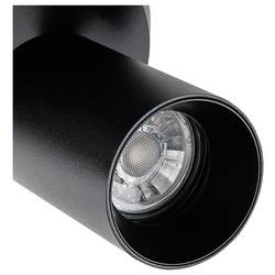Deko Light 348254 Can Tilt rund, 2x 7,5 W GU10, Schwarz Stropní svítidlo GU10 7.5 W černá