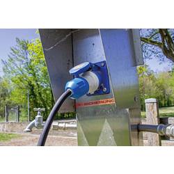 AS Schwabe 61408 Adaptérový CEE kabel, 16 A, 3pólový, 230 V, 1 ks