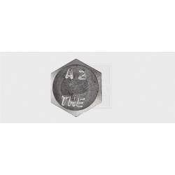 SWG 193810067 šroub do dřeva 8 mm 100 mm vnější šestihran DIN 571 nerezová ocel A2 25 ks