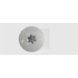 SWG 211535620 vrut na dřevěné fasády 5.5 mm 35 mm T profil nerezová ocel A4 100 ks