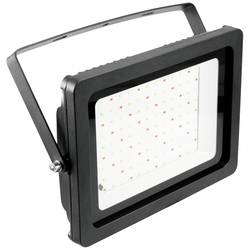 Eurolite LED venkovní reflektor LED IP FL-100 RGB s dálkovým ovládáním
