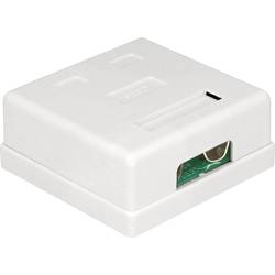 Delock 86269 síťová zásuvka pod omítku panel s čelní deskou a rámečkem CAT 6 2 porty bílá