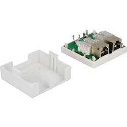 Delock 86269 síťová zásuvka pod omítku panel s čelní deskou a rámečkem CAT 6 2 porty bílá