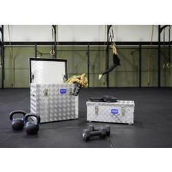 Alutec 41120 box z rýhovaného hliníkového plechu list (d x š x v) 622 x 425 x 520 mm