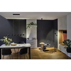 Paulmann Puric Pane I 79773 LED závěsný lustr LED 28 W černá