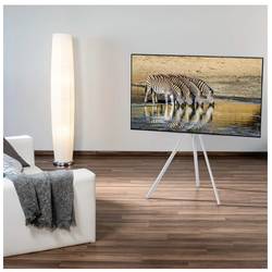 Hama TV-Ständer, Staffelei freistehend, höhenverstellbar, 191 cm (75) bis 40 kg TV stojan 190,5 cm (75)
