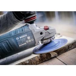 Bosch Accessories 2608901748 brusný kotouč 1 ks