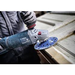 Bosch Accessories 2608901750 brusný kotouč Průměr 22.230 mm 1 ks