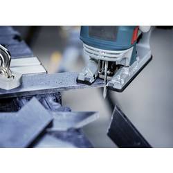 Bosch Accessories 2608902482 Přímočarý pilový list EXPERT Tough Metal tick t155hhm, 3 ks 3 ks