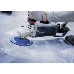 Bosch Accessories 2608901747 brusný kotouč 1 ks