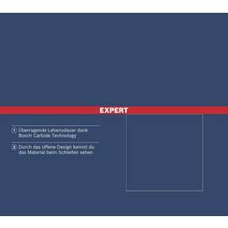 Bosch Accessories 2608901747 brusný kotouč 1 ks
