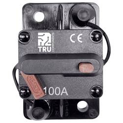 TRU COMPONENTSTC-13596600 Jistič, 12 V/DC, 24 V/DC, 48 V/DC, 100 A, 1 ks
