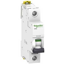 Schneider Electric A9F95120 elektrický jistič